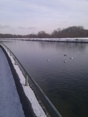 C360_2011-01-04-12-22-56