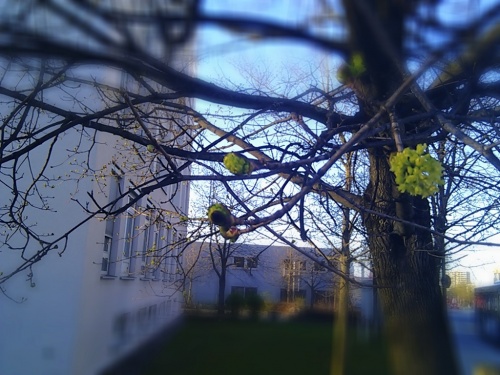 C360_2011-04-02-19-02-36