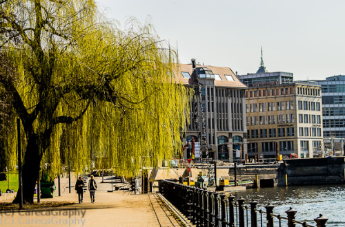 Bild 45 Zartes Gruen zum Anknuspern