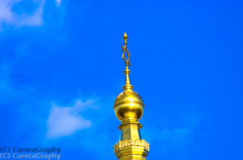 Bild 48 Golden vor Blau