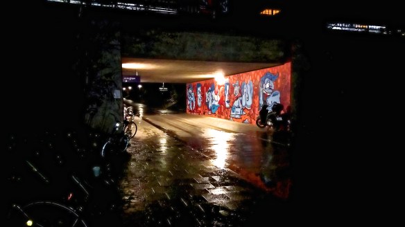 WP_20160111_8581_DxO